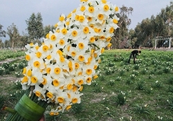 لزوم ترویج فرهنگ ایران گردی و نه گفتن به سفرهای خارجی + فیلم