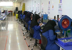 یزد در جایگاه نخست پرورش بلدرچین در کشور + فیلم