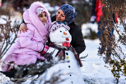 مهاجرت پرندگان به تالاب هور العظیم