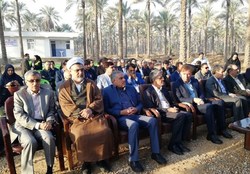 ایران چهارمین تولید کننده سیب در دنیا + فیلم
