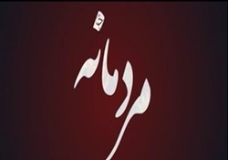 از دروغ شاخدار دربازار تلفن همراه تا ایده‌ای نو در صف نانوایی + فیلم