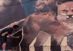 نوار پلاستیکی عجیبی که استحکامی همچون فولاد دارد! + فیلم