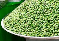 چگونه می‌توان از خستگی‌های مکرر در فصل بهار جلوگیری کرد؟ + فیلم