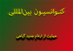 لحظه سقوط درخت تنومند بر اثر وقوع طوفان + فیلم