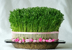 مراسم نوروز خوانی، آئين مژده بهار برای ایرانیان + فیلم