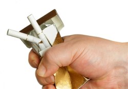 ایجاد اشتغال با پرورش اسب اصیل عرب در خوزستان + فیلم
