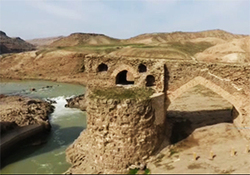 تعطیلی دامداری‌های استان لرستان به دلیل گرانی خوراک دام + فیلم