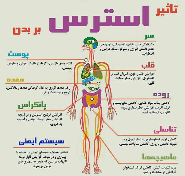 اثرات منفی استرس بر بدن در این اینفوگرافی بخوانید