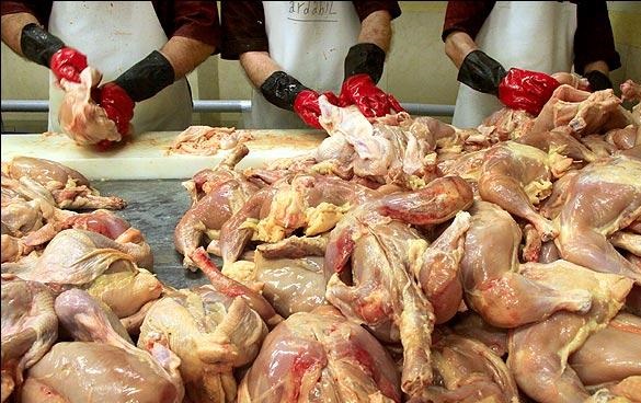 ریسک بالای آلودگی های میکروبی در خمیر مرغ/ برندهای معتبر سوسیس و کالباس را خریداری کنید