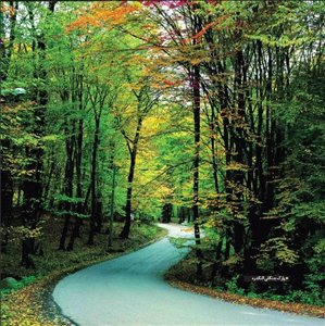 راهنمای سفر به گلستان/ اماکن دیدنی/ هتل ها + تصاویر