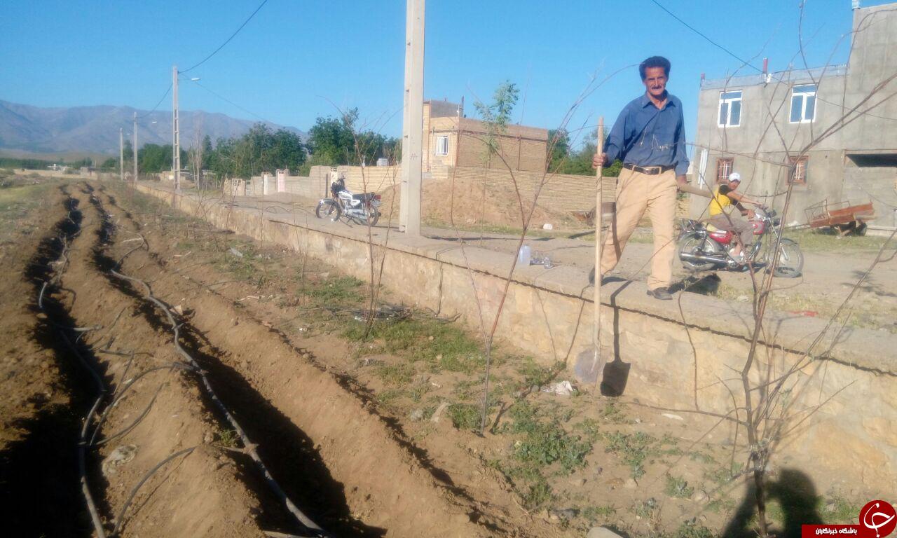 اجرای آبیاری قطره ای در زمین های کشاورزی + تصاویر