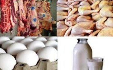 کشف بیش از 8 تن مواد خام دامی غیر قابل مصرف در ایام ماه رمضان