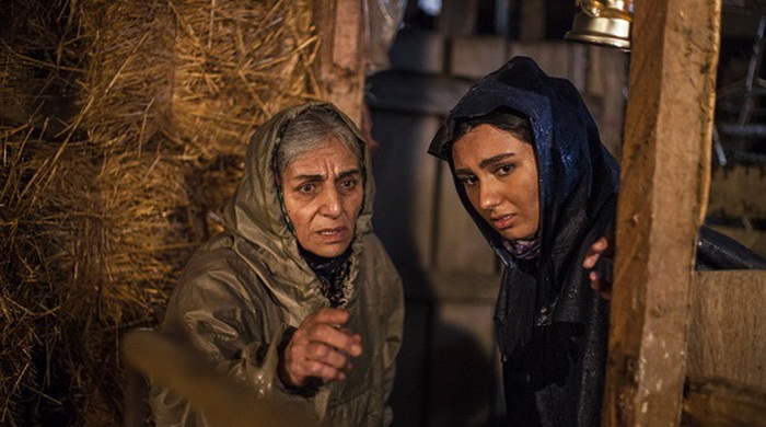 به «چهل کچل» نمره خوبی می‌توان داد