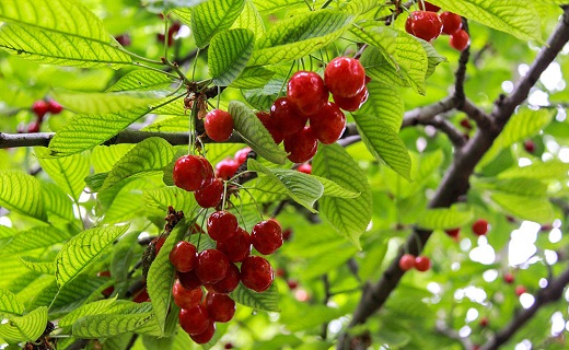 نگاهی به پر بیننده ترین اخبار روز گذشته در سمنان
