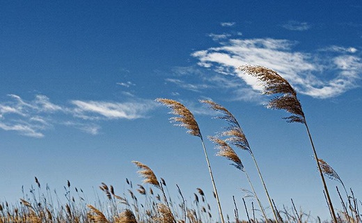 نگاهی به پر بیننده ترین اخبار روز گذشته در سمنان