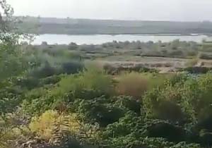 بسته