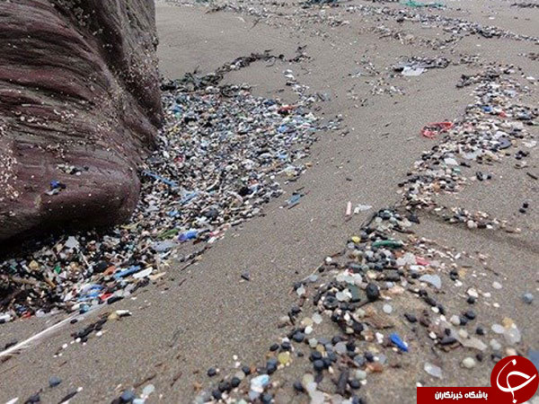 نمایشگاه زباله‌های پلاستیکی جمع آوری شده از ساحل