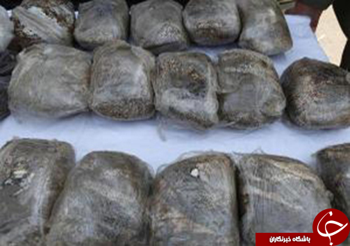 از دستگیری سارق مسلح بانک های شیراز و اصفهان تا تکذیب اخراج دانشجویان دانشگاه شیراز