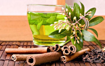 بستنی سنتی ناقل بیماری تب مالت/ سرطان ریه کشنده ترین سرطان/قابلیت ذخیره  ویتامین D در بدن
