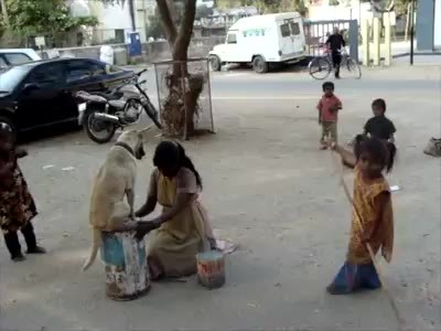 لذت سواری روی جعبه‌ای کوچک/ نظر رهبر انقلاب درباره اشعار اهالی فرهنگ/ سه مرد پاکستانی با ۹۶ فرزند/ جشن مختلط فارغ التحصیلی در یک دانشگاه + فیلم