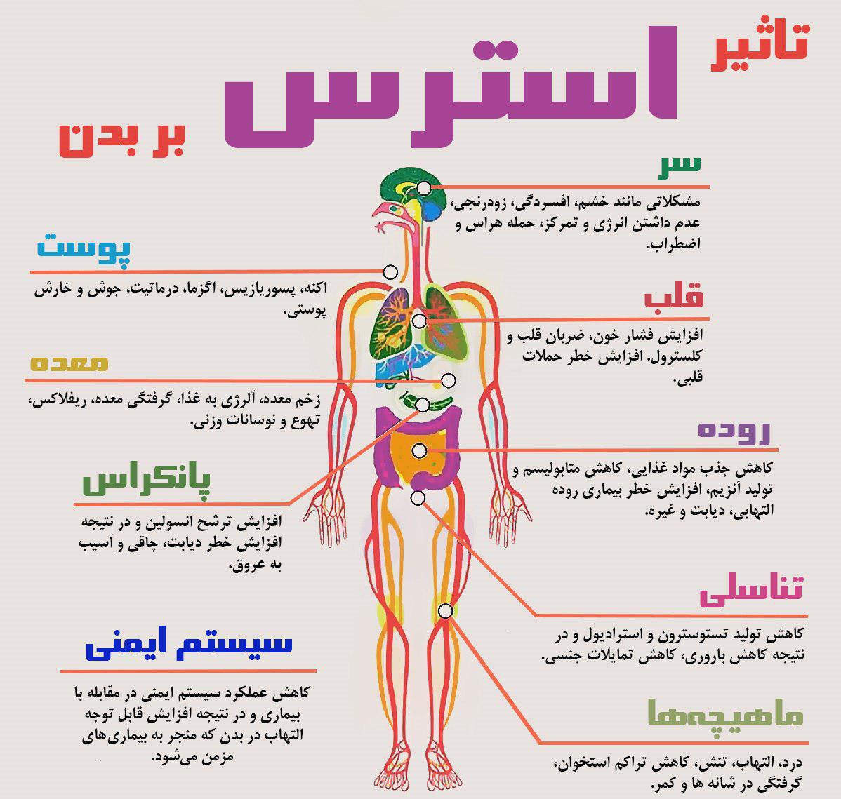 استرس چه تأثیر مخربی بر روی می گذارد؟اینفوگرافیک