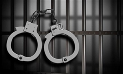 متلاشی شدن باند افعی مرداب/ 12 نفر از اعضای باند دستگیر شدند