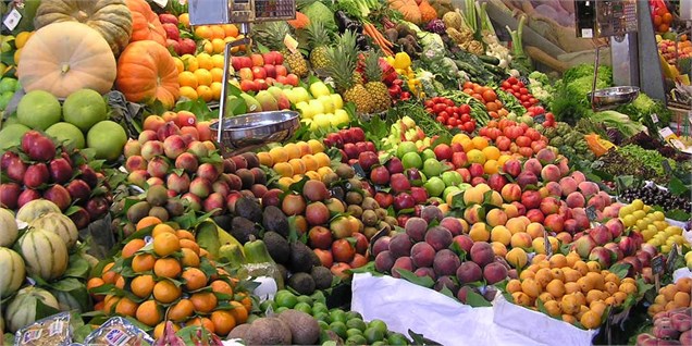 واردات کالاهای مشابه داخلی حرام است! /  قیمت نهایی طرح حمايتی به دليل استقبال مردم متوقف شد!مشخص شد/ سود سهام عدالت چه زمانی واریز می شود؟