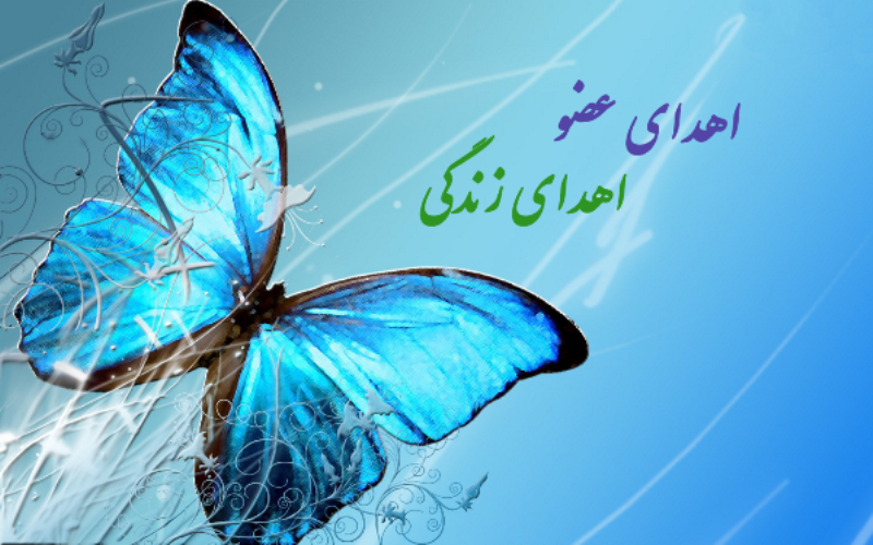 اهدا عضو؛ اهدا 4 زندگی