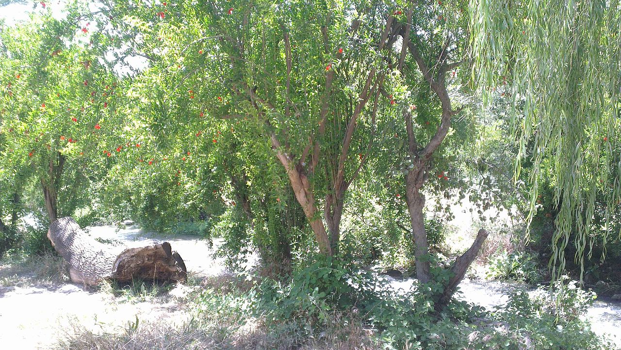 راهنمای سفر به کهکیلویه و بویراحمد/اماکن دیدنی / هتل‌ها + عکس