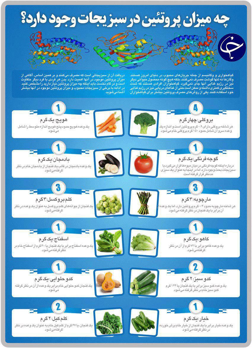 میزان پروتئین موجود در سبزیجات چقدر است/اینفوگرافی