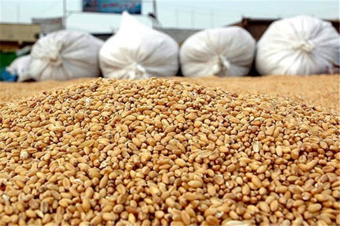 لیست جدیدترین دوچرخه های موجود در بازار و قیمت آنها/ نرخ فروش برنج و گوشت در ایام تعطیلات/ مظنه قیمت خرید مغازه در محله های تهران