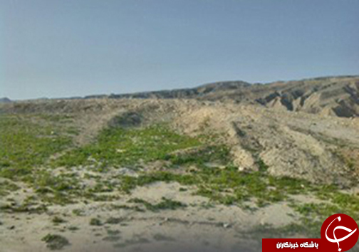 از کلاهبرداری با فروش سگ تا متلاشی شدن باند سرقت از خانه های تاریخی