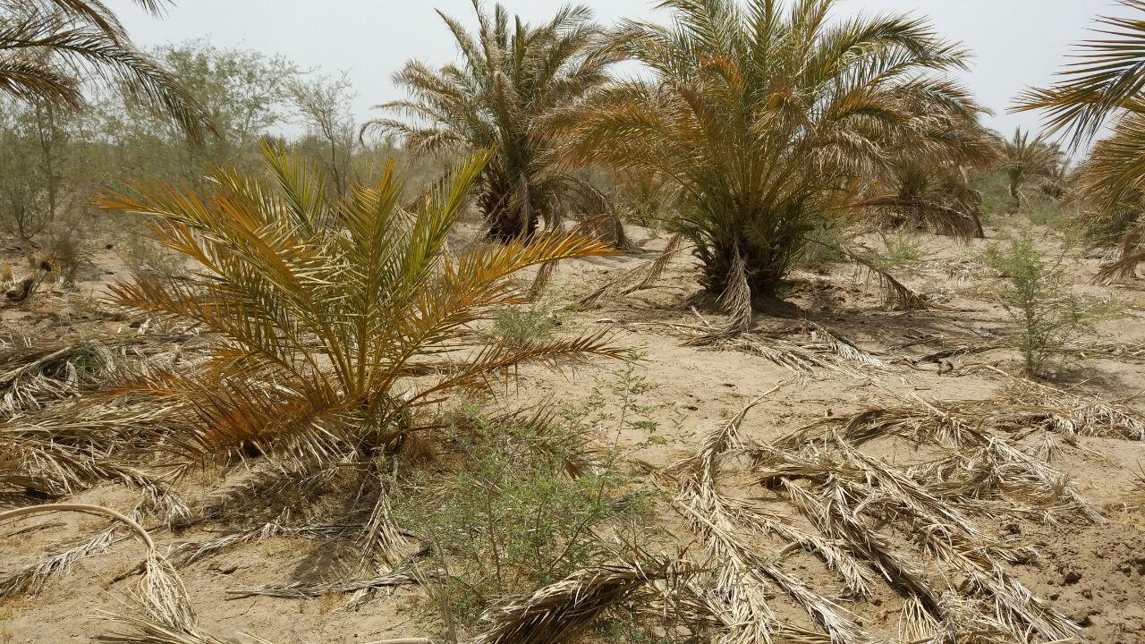 روستایی با1500خانوار درتهدید تخلیه