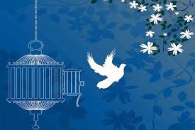 کمک 270میلیونی برای آزادی زندانیان