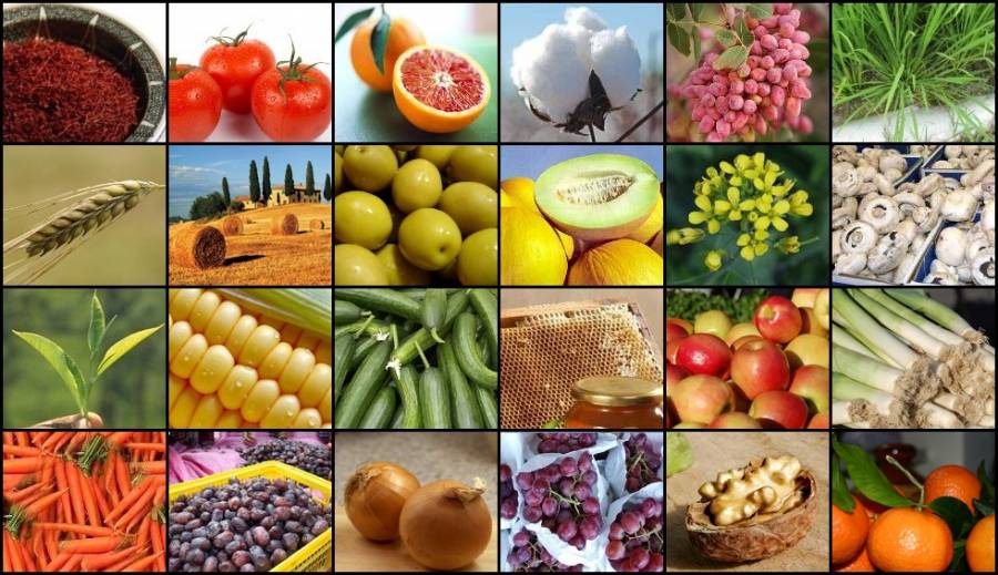 آخر قصه غول بی شاخ و دم ارز چند نرخی چه می شود؟!/ حکایت پرداخت روزانه 200 هزار دلار جریمه ایران به ترکمنستان / چه زمانی به خودکفایی در تولید کره می رسیم؟!
