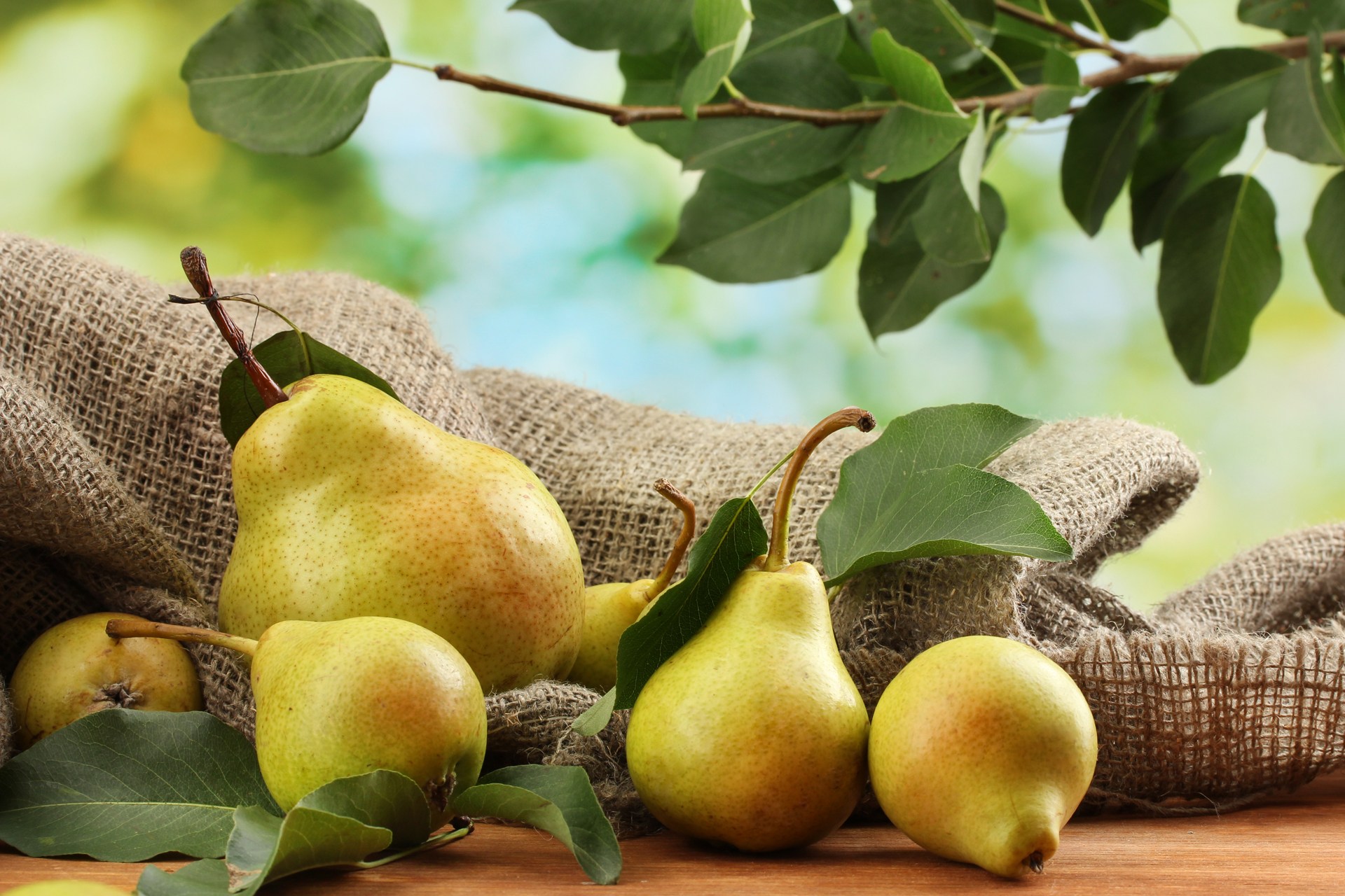 سوپرموادی که برای بدن معجزه آفرینی میکنند