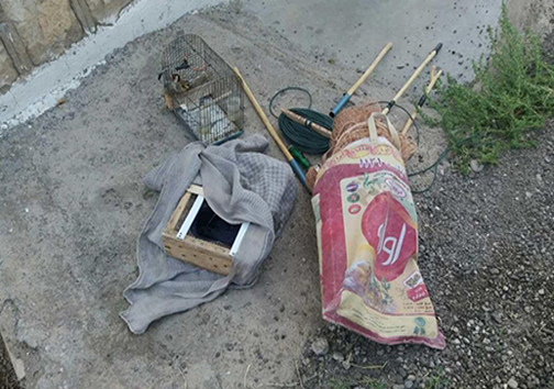 دستگیری متخلفان زنده گیری پرندگان در چگنی