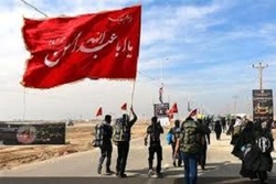 عشقی که میلیون‌ها زائر پیاده به سمت خود می‌کشد + فیلم