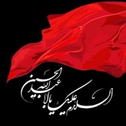خدمات خادمینی که خاک پای زائران را سرمه چشمان خود می‌کنند + فیلم