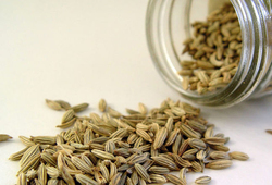 خواص گیاه رازیانه + فیلم