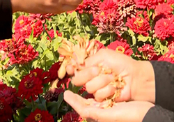 ایجاد اشتغال با چرخ خیاطی توسط بانوی خوزستانی + فیلم