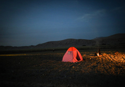 بازگشت رونق به روستای خالی از سکنه + فیلم