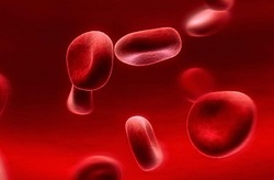 خونریزی را چطور کنترل کنیم؟ + فیلم