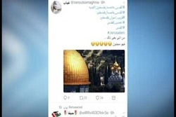 شهادت کودک ۶ ماهه به دست حرمله‌های صهیونیست + فیلم