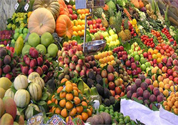 حباب تاریخی ژتون پول‌های مجازی + صوت