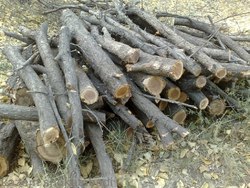 جایگزین مناسب قطع درختان برای تهیه هیزم در روستاها + فیلم