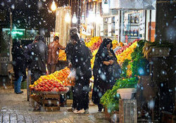 بخش خبری 20:30 مورخ 01 دی ماه 96 + فیلم