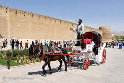 باغ جهان نما شیراز