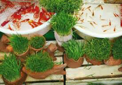 ایده‌ای جالب برای رنگ آمیزی تخم مرغ + فیلم