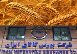خودنمایی شرکت‌های استارت آپ داخلی در حوزه‌های اقتصادی + فیلم